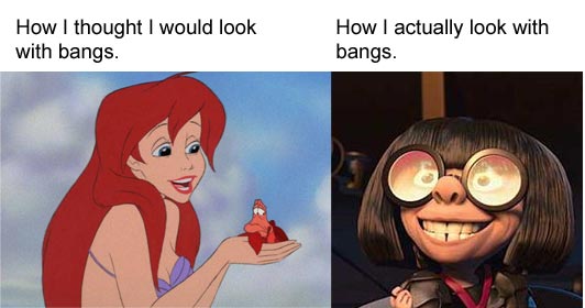 bangs-image